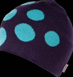 Craft Big Logo muts (paars met bollen)